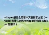 whisper是什么意思中文翻譯怎么讀（whisper是什么意思 whisper的音標 whisper的用法）