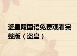 盜皇陵國語免費觀看完整版（盜皇）