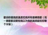 歌詞你是我的溫柔給我所有是哪首歌（找一首歌歌詞里有我以為我的溫柔能給你整個(gè)宇宙）