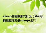 sheep的復數(shù)形式什么（sheep的復數(shù)形式是sheeps么?）