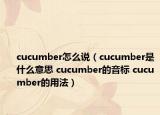 cucumber怎么說（cucumber是什么意思 cucumber的音標 cucumber的用法）