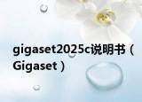 gigaset2025c說明書（Gigaset）