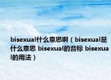 bisexual什么意思?。╞isexual是什么意思 bisexual的音標(biāo) bisexual的用法）