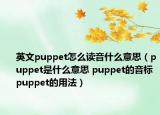 英文puppet怎么讀音什么意思（puppet是什么意思 puppet的音標(biāo) puppet的用法）