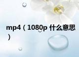 mp4（1080p 什么意思）