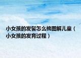 小女孩的發(fā)髻怎么梳圖解兒童（小女孩的發(fā)育過程）