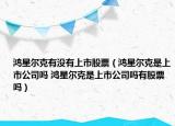 鴻星爾克有沒有上市股票（鴻星爾克是上市公司嗎 鴻星爾克是上市公司嗎有股票嗎）