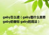 gaby怎么讀（gaby是什么意思 gaby的音標 gaby的用法）