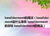 bewilderment的用法（bewilderment是什么意思 bewilderment的音標(biāo) bewilderment的用法）