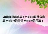 visible是啥意思（visible是什么意思 visible的音標(biāo) visible的用法）