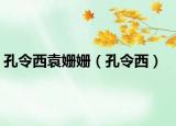 孔令西袁姍姍（孔令西）