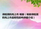 待檢測(cè)機(jī)構(gòu)上傳 核酸（核酸待檢測(cè)機(jī)構(gòu)上傳是陽(yáng)性的嗎詳細(xì)介紹）