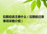 拉筋應(yīng)該注意什么（拉筋的注意事項(xiàng)詳細(xì)介紹）