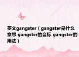 英文gangster（gangster是什么意思 gangster的音標(biāo) gangster的用法）