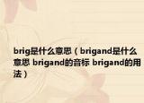 brig是什么意思（brigand是什么意思 brigand的音標(biāo) brigand的用法）