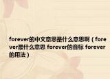 forever的中文意思是什么意思?。╢orever是什么意思 forever的音標(biāo) forever的用法）