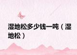 濕地松多少錢一噸（濕地松）