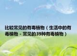 比較常見的有毒植物（生活中的有毒植物 - 常見的39種有毒植物）
