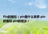 Pin的音標（pin是什么意思 pin的音標 pin的用法）