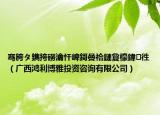 騫胯タ鐫挎磱瀹忓崥鎶曡祫鏈夐檺鍏徃（廣西鴻利博雅投資咨詢有限公司）