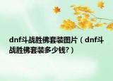 dnf斗戰(zhàn)勝佛套裝圖片（dnf斗戰(zhàn)勝佛套裝多少錢?）