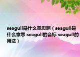 seagull是什么意思啊（seagull是什么意思 seagull的音標(biāo) seagull的用法）