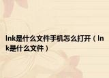 lnk是什么文件手機(jī)怎么打開(kāi)（lnk是什么文件）