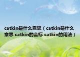 catkin是什么意思（catkin是什么意思 catkin的音標(biāo) catkin的用法）