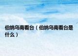 伯納烏南看臺(tái)（伯納烏南看臺(tái)是什么）