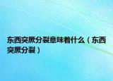 東西突厥分裂意味著什么（東西突厥分裂）