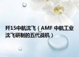 殲15中航沈飛（AMF 中航工業(yè)沈飛研制的五代戰(zhàn)機(jī)）