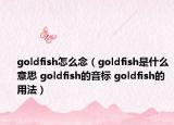goldfish怎么念（goldfish是什么意思 goldfish的音標(biāo) goldfish的用法）