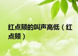 紅點(diǎn)頦的叫聲高低（紅點(diǎn)頦）