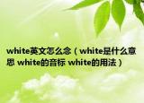 white英文怎么念（white是什么意思 white的音標 white的用法）