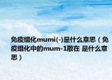 免疫組化mumi(-)是什么意思（免疫組化中的mum-1散在 是什么意思）