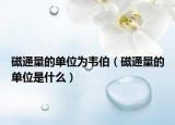 磁通量的單位為韋伯（磁通量的單位是什么）