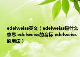 edelweiss英文（edelweiss是什么意思 edelweiss的音標 edelweiss的用法）