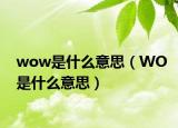 wow是什么意思（WO是什么意思）