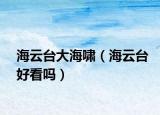 海云臺(tái)大海嘯（海云臺(tái)好看嗎）