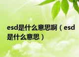 esd是什么意思?。╡sd是什么意思）