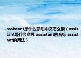 assistant是什么意思中文怎么讀（assistant是什么意思 assistant的音標(biāo) assistant的用法）