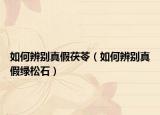 如何辨別真假茯苓（如何辨別真假綠松石）