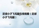 足球小子飛毛腿在線觀看（足球小子飛毛腿）