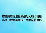 射雕英雄傳里楊康是好人嗎（楊康 小說(shuō)《射雕英雄傳》中的反派角色）
