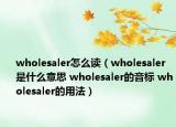 wholesaler怎么讀（wholesaler是什么意思 wholesaler的音標(biāo) wholesaler的用法）