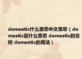 domestic什么意思中文意思（domestic是什么意思 domestic的音標(biāo) domestic的用法）