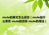 mute的英文怎么讀音（mute是什么意思 mute的音標(biāo) mute的用法）