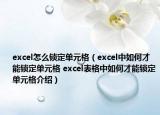 excel怎么鎖定單元格（excel中如何才能鎖定單元格 excel表格中如何才能鎖定單元格介紹）