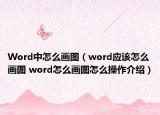 Word中怎么畫圖（word應(yīng)該怎么畫圖 word怎么畫圖怎么操作介紹）