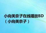 小向美奈子在線播放BD（小向美奈子）